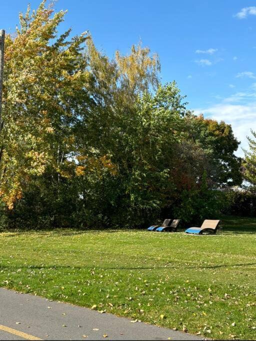 Cozy Spacious Work Friendly Lotus With Garden View High Speed Free Wi Fi And Parking Adjacent To Downtown Montréal Buitenkant foto